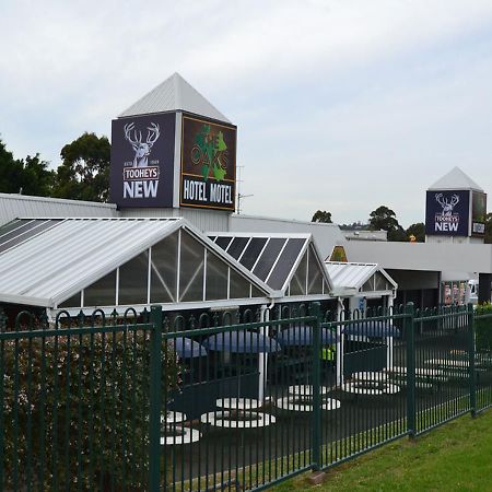 The Oaks Hotel Motel Albion Park ภายนอก รูปภาพ